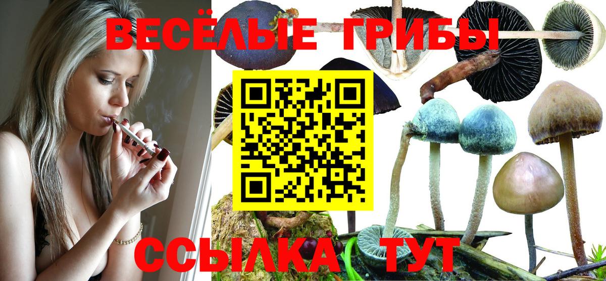 Галлюциногенные грибы мицелий Люберцы